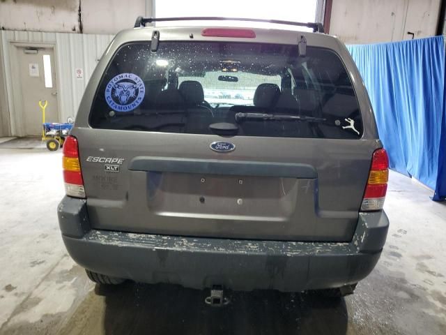 2004 Ford Escape XLT