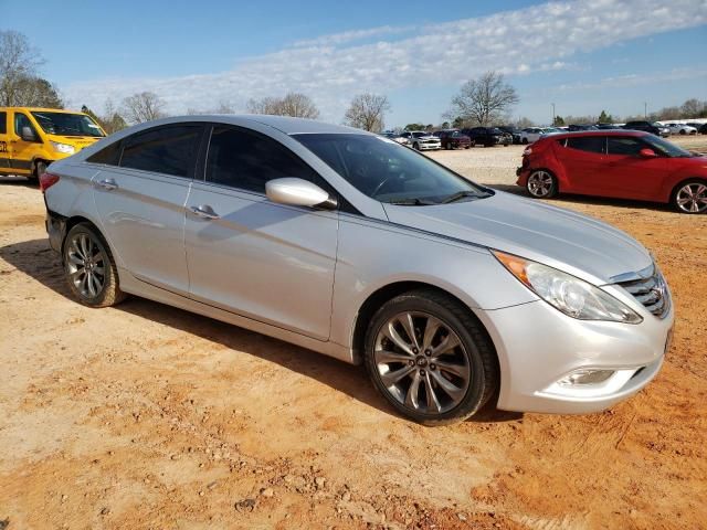 2011 Hyundai Sonata SE