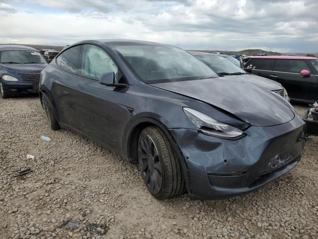 2020 Tesla Model Y