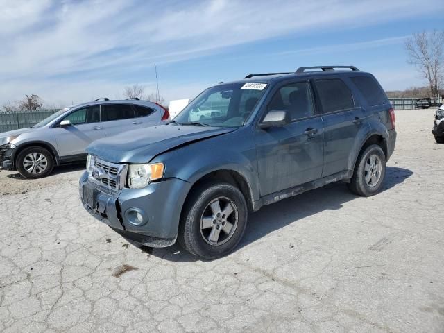 2010 Ford Escape XLT