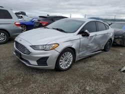 Ford Fusion salvage cars for sale: 2019 Ford Fusion SE