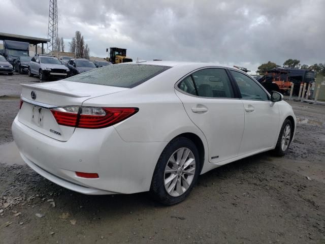 2013 Lexus ES 300H