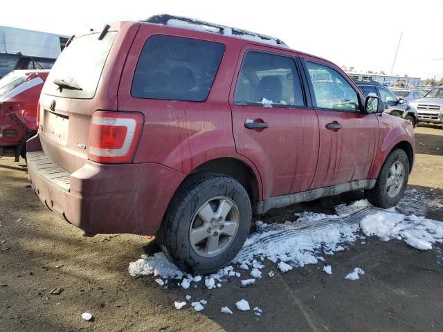 2009 Ford Escape XLT