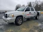 2007 Dodge Dakota Quad SLT