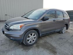 Salvage cars for sale at Duryea, PA auction: 2010 Honda CR-V LX
