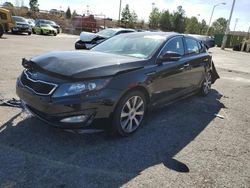 KIA Optima SX Vehiculos salvage en venta: 2013 KIA Optima SX