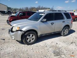 Salvage cars for sale from Copart Lawrenceburg, KY: 2011 Ford Escape XLT