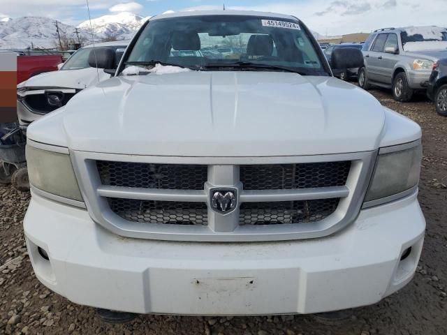 2010 Dodge Dakota SXT