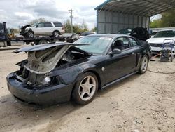 Salvage cars for sale from Copart Midway, FL: 2004 Ford Mustang GT