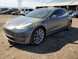 Salvage cars for sale from Copart Phoenix, AZ: 2019 Tesla Model 3