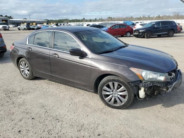 2011 Honda Accord EXL