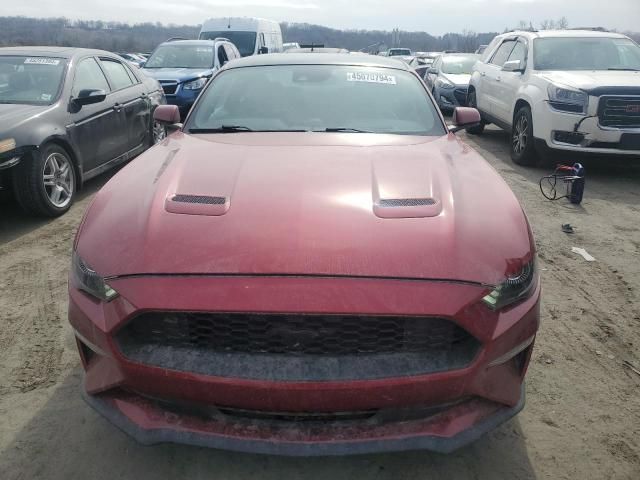 2019 Ford Mustang