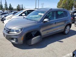 Volkswagen Tiguan S salvage cars for sale: 2015 Volkswagen Tiguan S