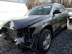 Salvage cars for sale at Hillsborough, NJ auction: 2016 Audi Q5 Premium Plus S-Line