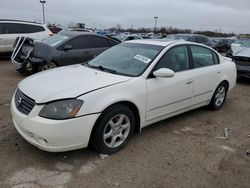 Nissan Altima S salvage cars for sale: 2005 Nissan Altima S