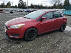 Ford Focus SE salvage cars for sale: 2017 Ford Focus SE