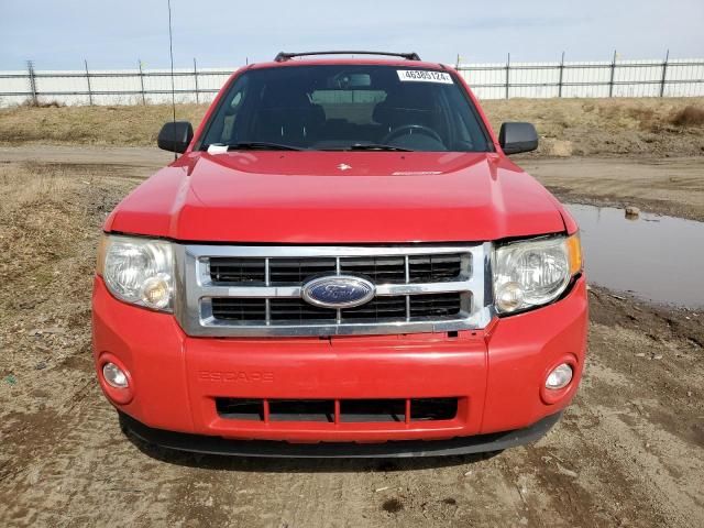 2009 Ford Escape XLT