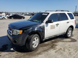 2012 Ford Escape XLT for sale in Sikeston, MO