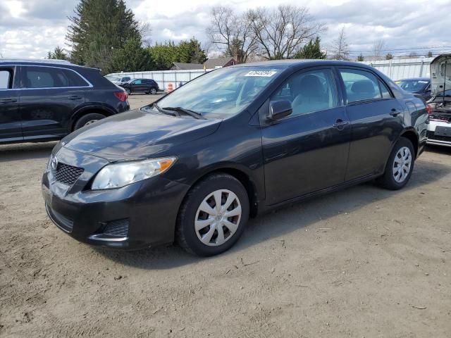 2009 Toyota Corolla Base