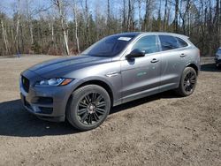 Jaguar F-PACE Premium salvage cars for sale: 2019 Jaguar F-PACE Premium