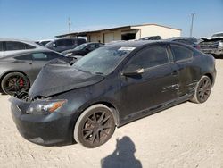 Salvage cars for sale at Temple, TX auction: 2010 Scion TC