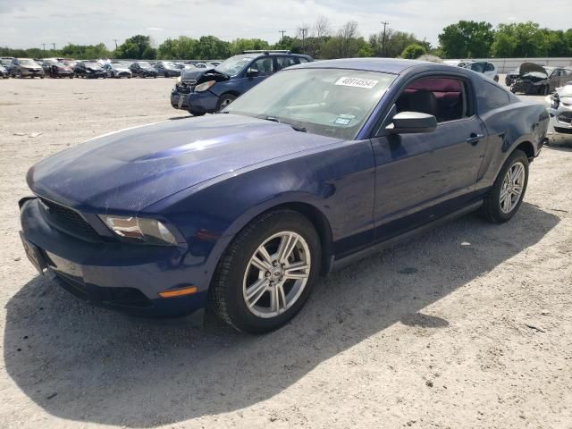 2010 Ford Mustang