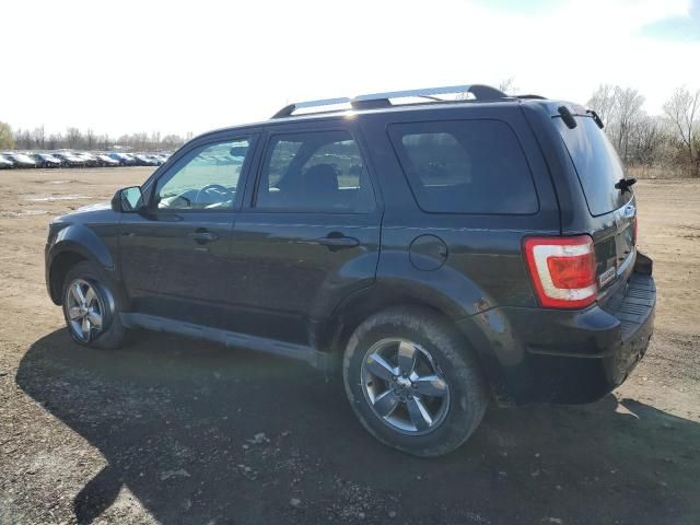 2011 Ford Escape Limited