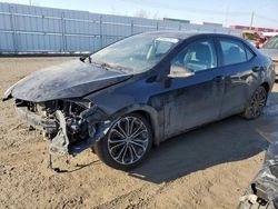 Salvage cars for sale from Copart Nisku, AB: 2015 Toyota Corolla L