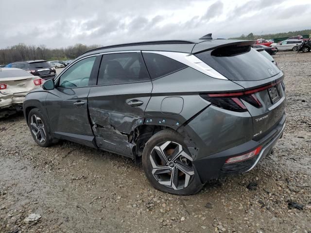 2023 Hyundai Tucson Limited