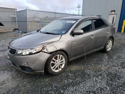 Salvage cars for sale from Copart Elmsdale, NS: 2012 KIA Forte EX
