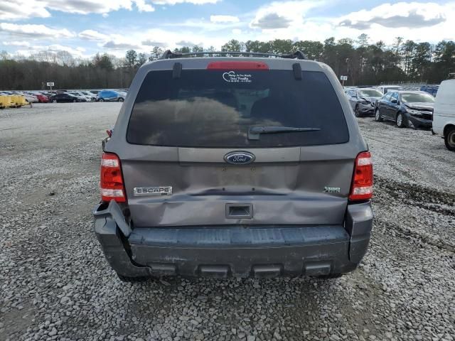 2010 Ford Escape XLT