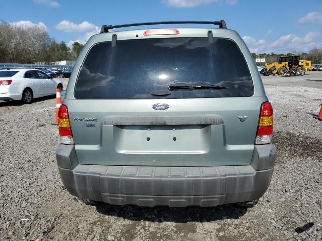 2006 Ford Escape XLT