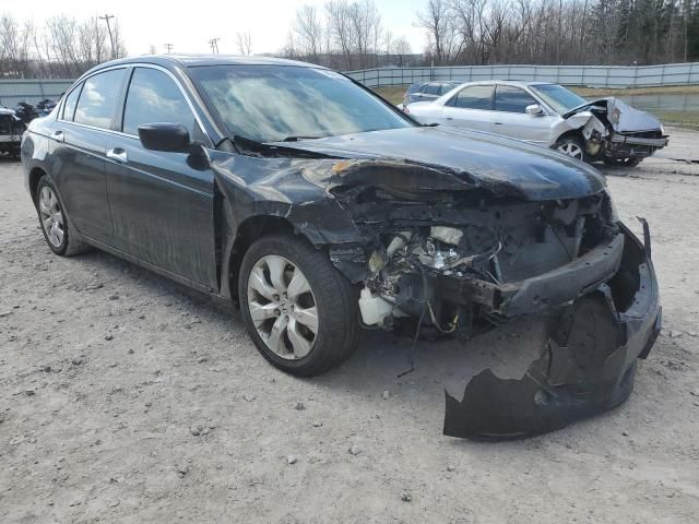 2009 Honda Accord EXL