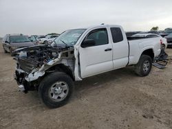 Toyota Tacoma salvage cars for sale: 2019 Toyota Tacoma Access Cab