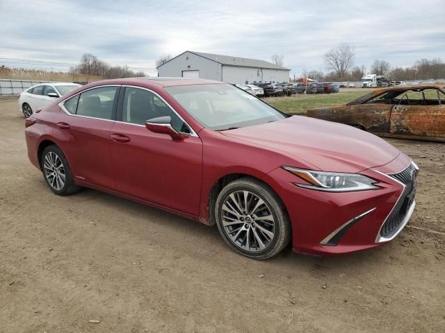 2019 Lexus ES 300H