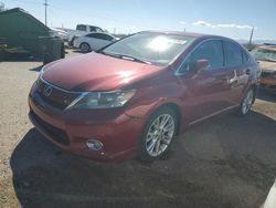 Salvage cars for sale from Copart Tucson, AZ: 2010 Lexus HS 250H