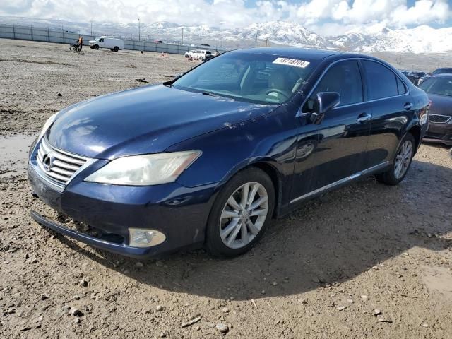 2010 Lexus ES 350