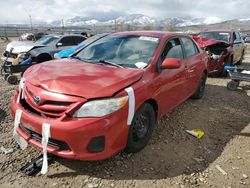 Toyota Corolla salvage cars for sale: 2012 Toyota Corolla Base