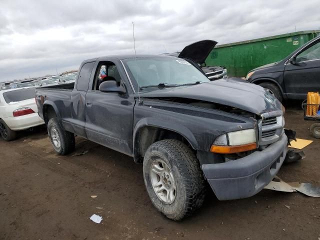 2004 Dodge Dakota SXT