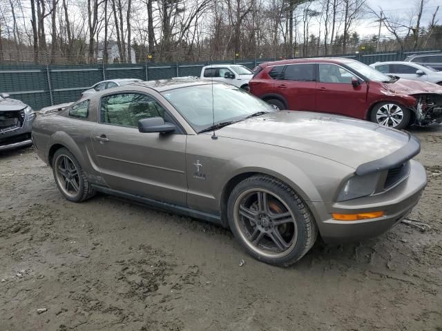 2005 Ford Mustang