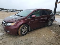 Honda salvage cars for sale: 2016 Honda Odyssey EXL