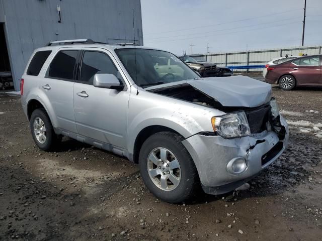 2011 Ford Escape Limited