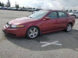 Acura 3.2TL salvage cars for sale: 2006 Acura 3.2TL