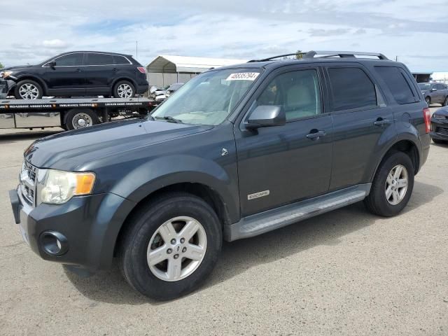 2008 Ford Escape HEV