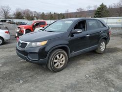 Salvage cars for sale from Copart Grantville, PA: 2013 KIA Sorento LX