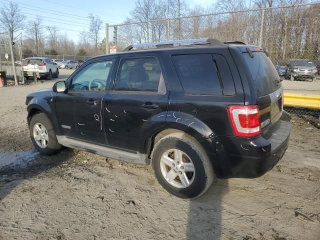 2008 Ford Escape HEV