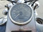 2003 Harley-Davidson Flstci