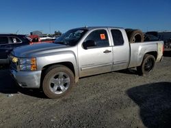 Salvage trucks for sale at Antelope, CA auction: 2013 Chevrolet Silverado C1500 LT