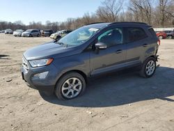 2019 Ford Ecosport SE for sale in Ellwood City, PA