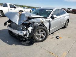 Salvage cars for sale at Grand Prairie, TX auction: 2023 Hyundai Sonata SE